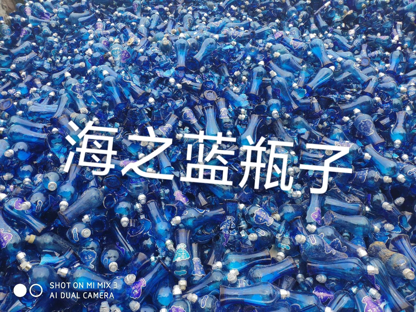 吴江区海之蓝瓶回收